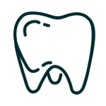 tooth icon